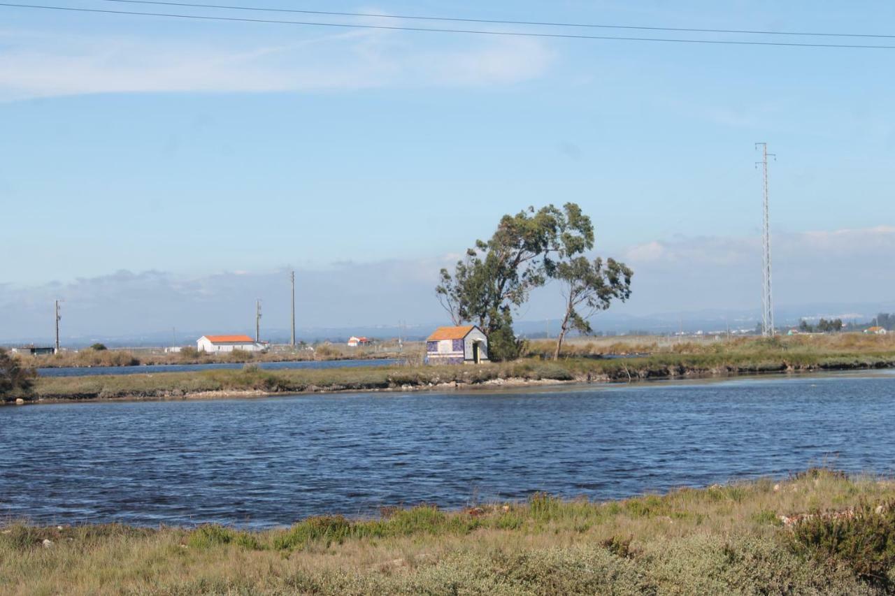 Casa Clara Villa Aveiro Exterior photo